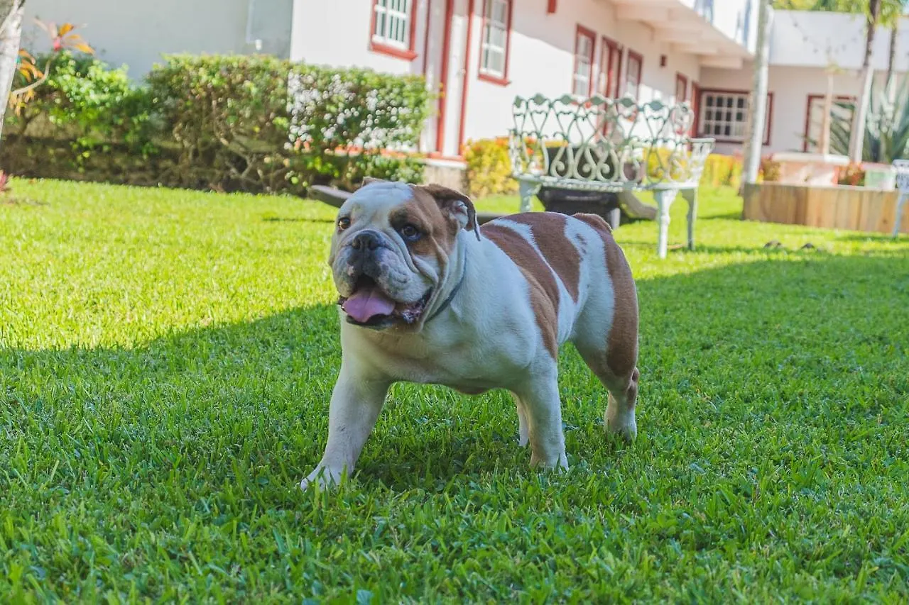 Hotel Lagoon - Pet Friendly Chetumal